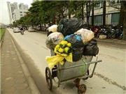 Bóng đá anh, ngoại hạng anh, lịch thi đấu euro 2012, Mùng 9/3, hoa ra... bãi rác